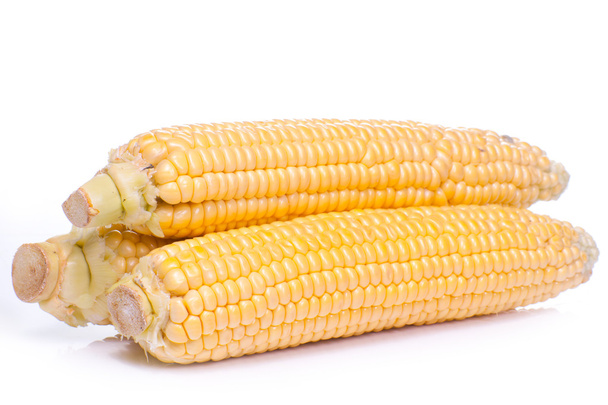 egy fül kukorica, elszigetelt, fehér. - Fotó, kép