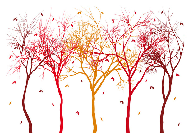 осенние деревья с опадающими листьями, вектор
 - Вектор,изображение