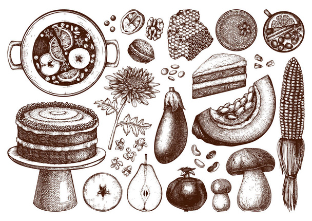 Traditional autumn food and drinks illustrations set.  - Wektor, obraz