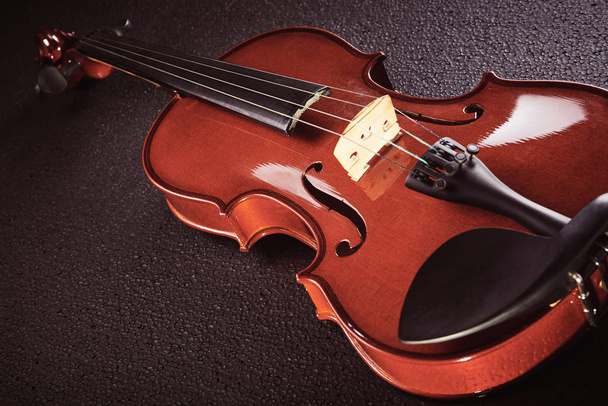 violin  on black background - Photo, Image
