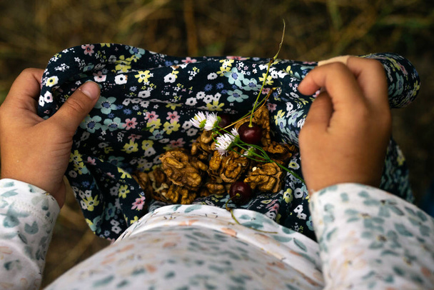 Las nueces están en la falda de una niña en una blusa. Ella sostiene la falda con sus manos. Orientación horizontal
 - Foto, imagen