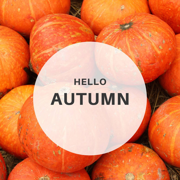 Inspirerende motivatie citaat Hello herfst met pompoen op rug - Foto, afbeelding