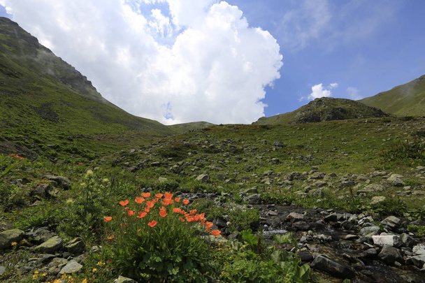 Panoramatický pohled na plošinu Ambarli v pohoří Kackar, Černé moře, Rize, Turecko - Fotografie, Obrázek