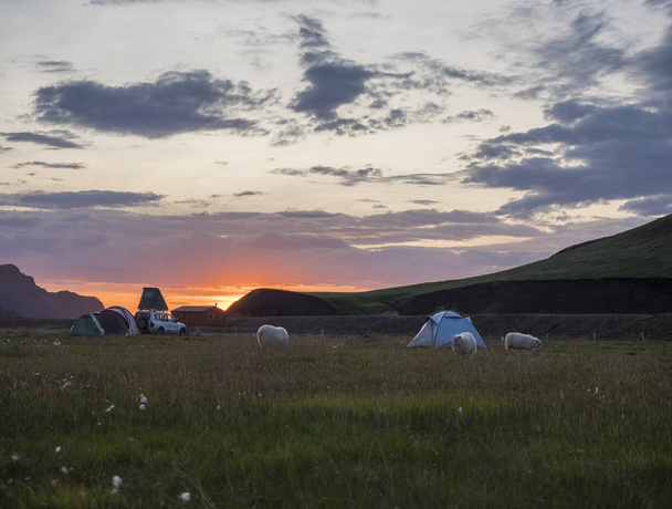 Prachtige rode paarse zonsopgang in Landmannalaugar berg op Camping gebied met grazende schapen en tenten. Fjallabak natuurreservaat in Highlands regio van IJsland - Foto, afbeelding