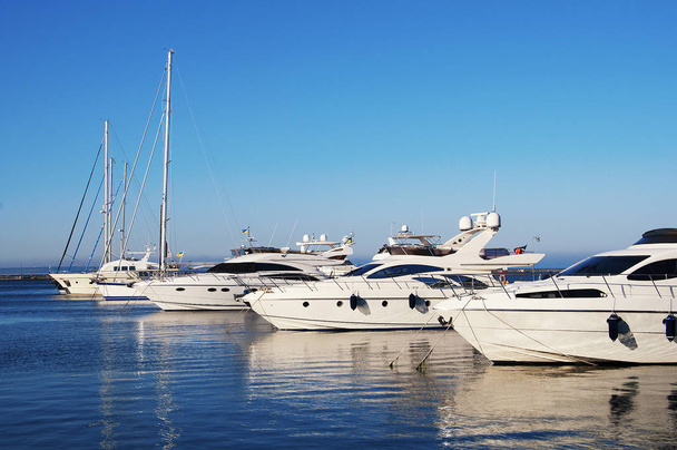 White yachts in the port. - Photo, Image