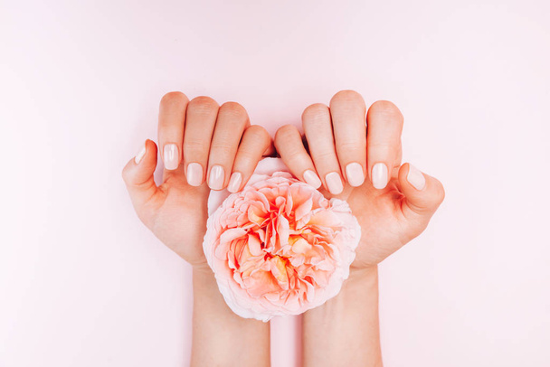 Stylish trendy female manicure. Woman's Hands holding rose flower on pink background. Top view, flat lay. - Zdjęcie, obraz