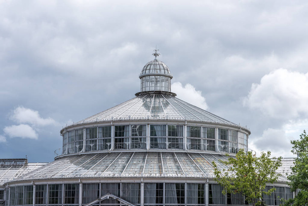 La casa de la palma en el jardín botánico, Copenhague
 - Foto, imagen