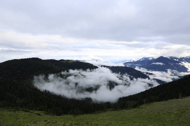 Landschaftsbild von Holzhäusern und Nebel, der Gito Plateau, Rize, Nordosttürkei bedeckt - Foto, Bild
