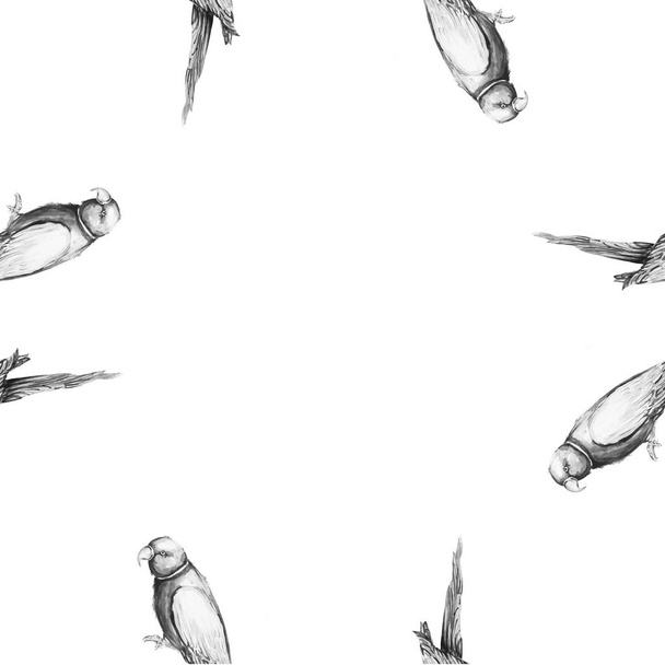 Papukaija lintu veden väri taide kuvitus
 - Valokuva, kuva