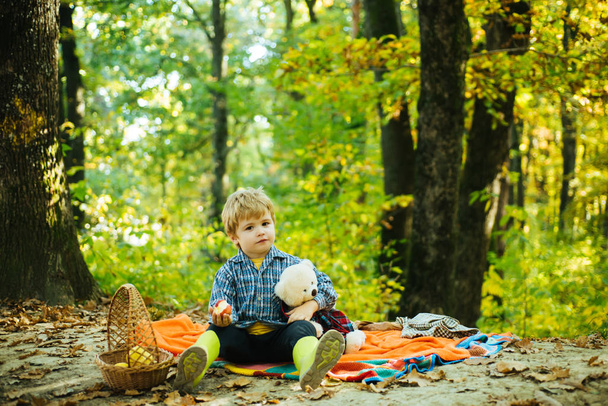 Child relax in autumn nature. Autumn picnic with teddy bear. Boy in rubber boots relaxing in forest sit picnic blanket. Cute tourist concept. He likes hiking. Kid with toy sit on plaid forest picnic - 写真・画像