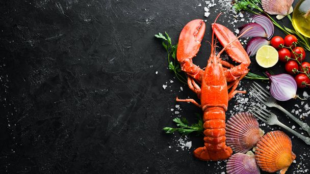 Lobster with spices on a dark background. Top view. Free copy space. - Photo, image