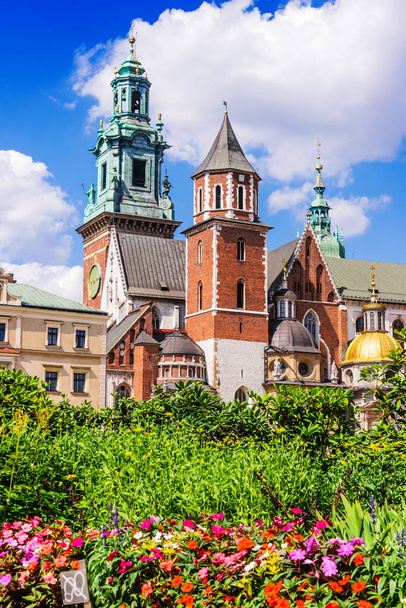 Wawel Katedra na Wawelu w Krakowie - Zdjęcie, obraz