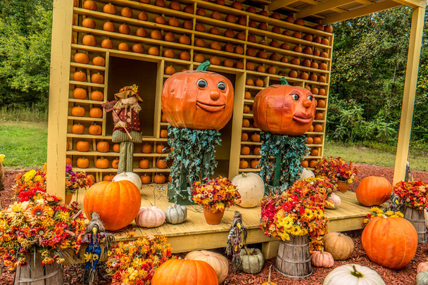 Affichage décoratif de citrouille en automne
 - Photo, image