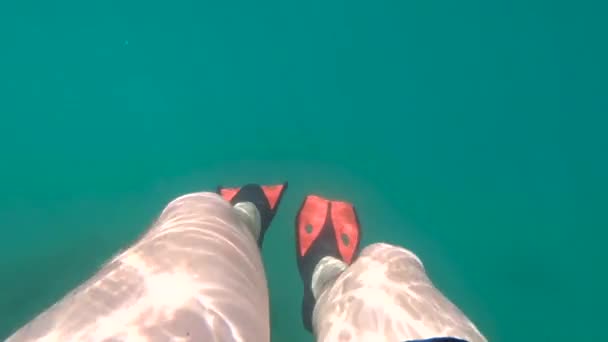 Männerbeine in Schwimmflossen unter Wasser Sommerurlaub - Filmmaterial, Video