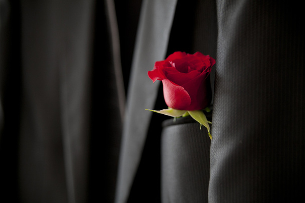 γαμπρός με τριαντάφυλλο σχετικά με το σακάκι - Φωτογραφία, εικόνα