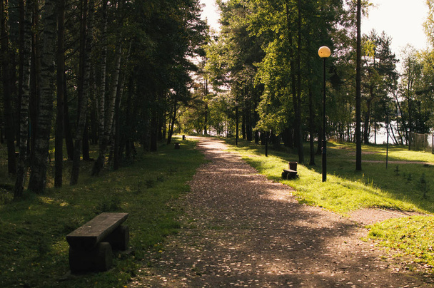 Carretera forestal de otoño en el parque Losevo - Foto, imagen
