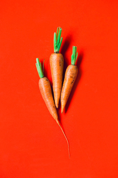 A bunch of fresh carrots in hand on red background. - Fotó, kép
