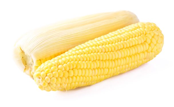 Huerto de maíz fresco
 - Foto, imagen