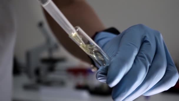 Lab technician pours in test tube of biological material through dispenser - Footage, Video