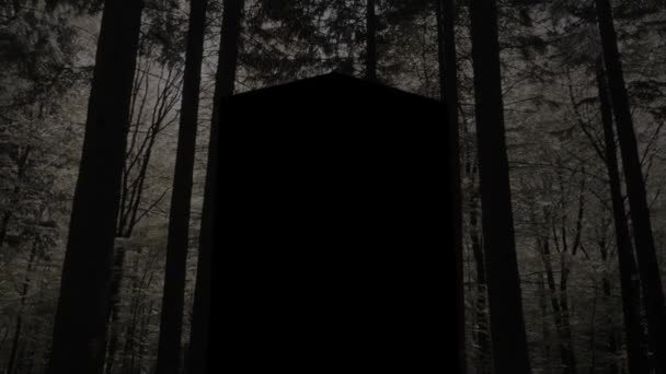 Spooky Forest Gravestone For Halloween - Footage, Video