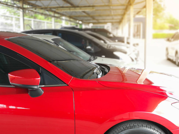 новый красный автомобиль на парковке с большим количеством машин
  - Фото, изображение
