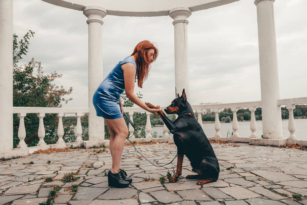 beautiful woman owner with her dog black doberman outdoor walking together - Photo, Image