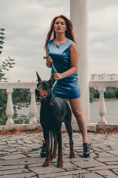 schöne Besitzerin mit ihrem Hund schwarzem Dobermann im Freien spazieren gehen - Foto, Bild