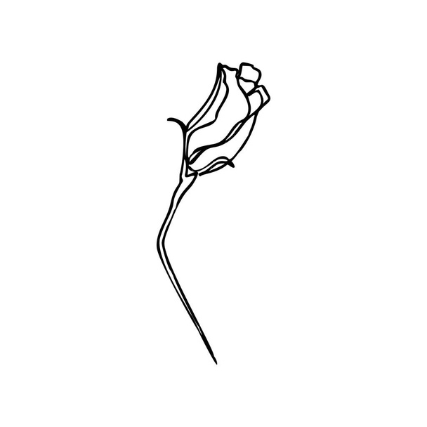 Tek Satır Çiçek Tomurcuk. Modern Minimalist Tarzda Sürekli çizgi çiçek. Bir Bitkinin Vektör Çizimi. - Vektör, Görsel
