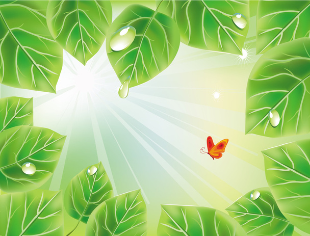 Зеленый фон с листьями - Вектор,изображение
