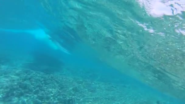 Pomalý pohyb, pod vodou: neznámý surboardista na slunečném dnu v tropických vodách Tichého oceánu. Velkolepý záběr neidentifikovatelného surfařova výstřelu - Záběry, video