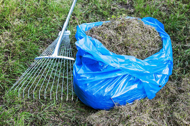 Garbage bag with raked grass. Lawn raking. - Foto, imagen