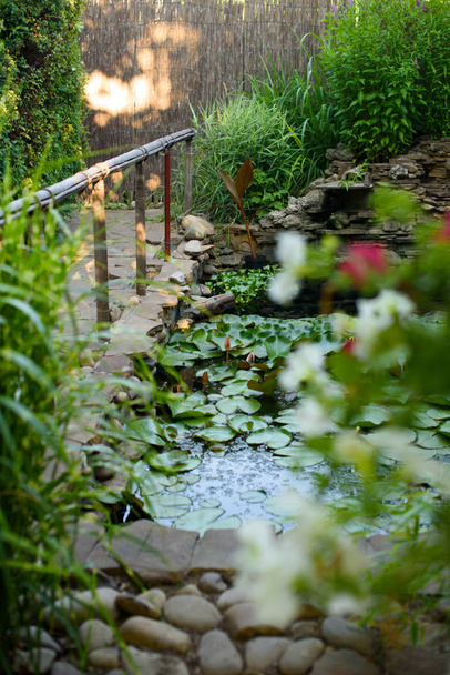 Hermoso estanque con nenúfares en el parque de verano
 - Foto, imagen