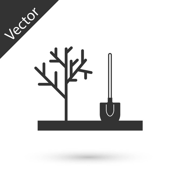 Cinza Plantando uma árvore no ícone do chão isolado no fundo branco. Jardinagem, agricultura, protecção do ambiente. Ilustração vetorial
 - Vetor, Imagem