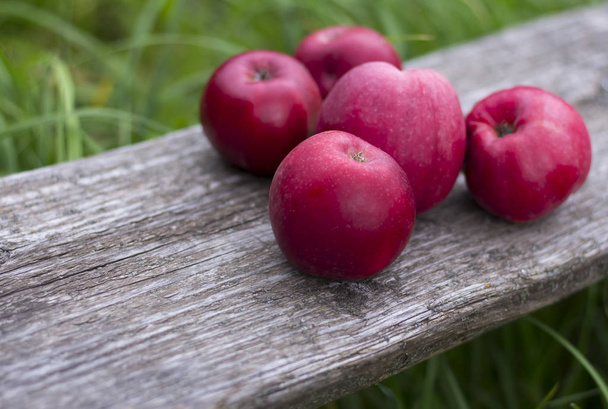 Свіжі червоні яблука на дерев'яній лавці в саду з копією простору
 - Фото, зображення