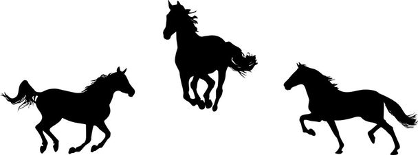 symbole konia - Wektor, obraz