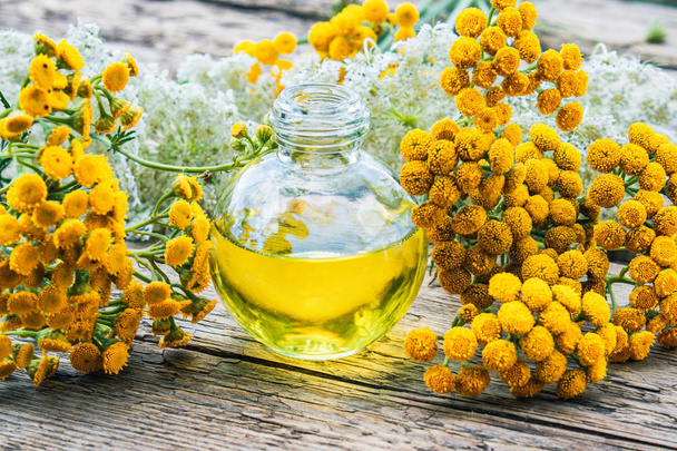 Tansy essential oil in a glass bottle on a wooden background near the yellow tansy and yarrow flowers. Tincture extract with medicinal tansy. Herbal medicine concept. - Photo, Image