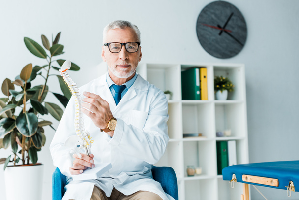 vousatý doktor ve skleničkách a bílém plášti, držící na klinice model páteře  - Fotografie, Obrázek