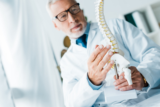selective focus of doctor in white coat holding spine model in clinic  - Foto, Imagen