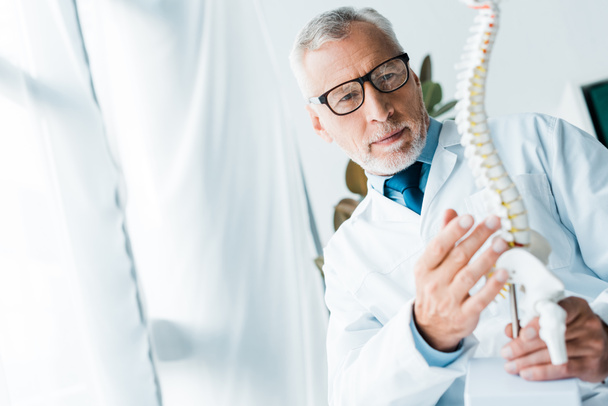 selective focus of doctor in white coat and glasses holding spine model in clinic  - Foto, Bild