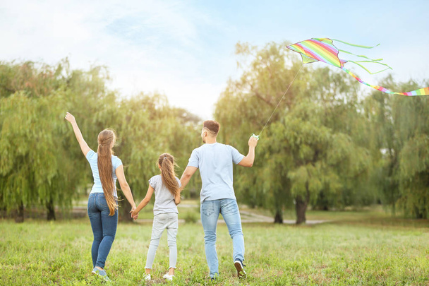 Familia feliz volando cometa al aire libre
 - Foto, Imagen