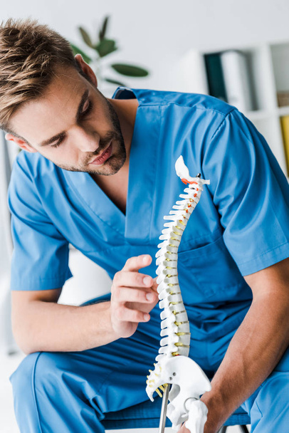 handsome doctor looking at spine model in clinic  - Photo, Image