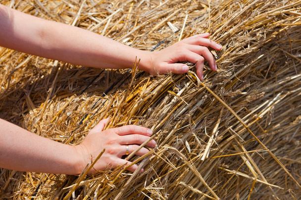 hands pushing on hay bale - Photo, Image