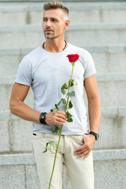 Little romance can enhance your love life. Man mature macho with romantic gift. Handsome guy with rose flower romantic date. Valentines day and anniversary. Flowers delivery. Romantic gentleman - Фото, зображення