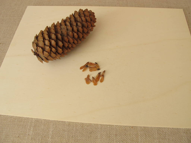 Конусы и съедобные семена ели
 - Фото, изображение