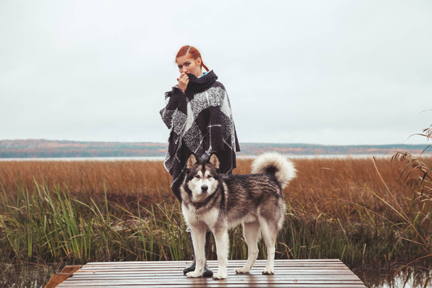 湖の近くに彼女のマラミュート灰色の大きな犬と赤毛の白人女性の所有者 - 写真・画像