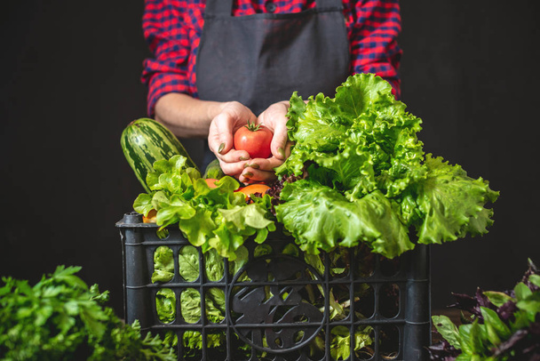 Une agricultrice tient une boîte avec des légumes frais et une salade verte. Produits crus biologiques cultivés à la ferme
. - Photo, image