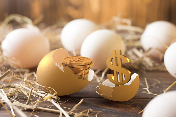 金の卵に投資し、取引資産に概念リスク投資  - 写真・画像