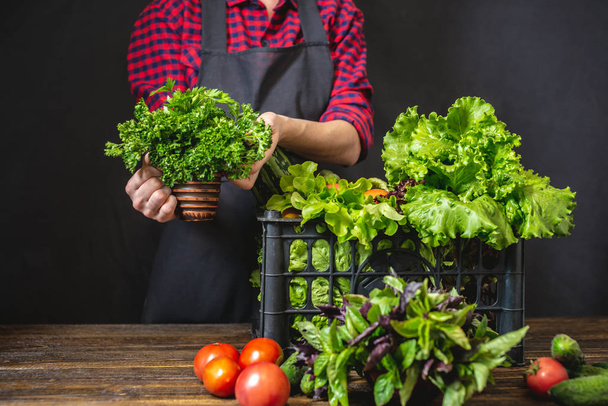 Une jeune agricultrice tient une boîte avec des légumes frais et une salade verte. Produits crus biologiques cultivés à la ferme
. - Photo, image