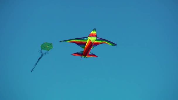 Kite on the Sky - Footage, Video