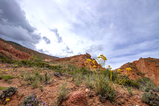 Багатобарвні гори в ущелині Казка про хмарне небо з квітами на передньому плані
. - Фото, зображення